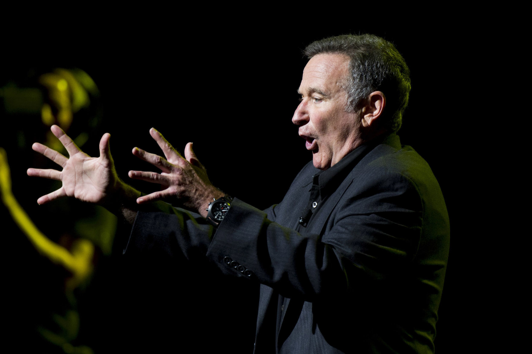 Robin Williams, 2012